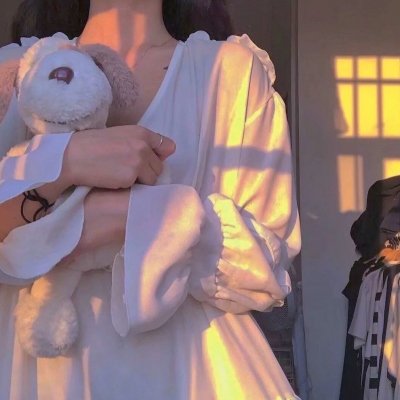 蝙蝠侠:哥谭骑士